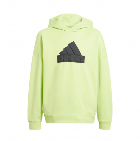 Adidas Hoodie HD Logo Kids